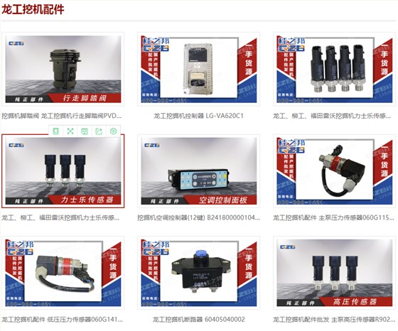 專業龍工挖掘機配件