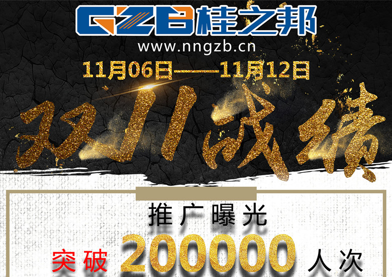 挖掘機配件十一月十一日戰績表，如何實現200%的飛躍！？