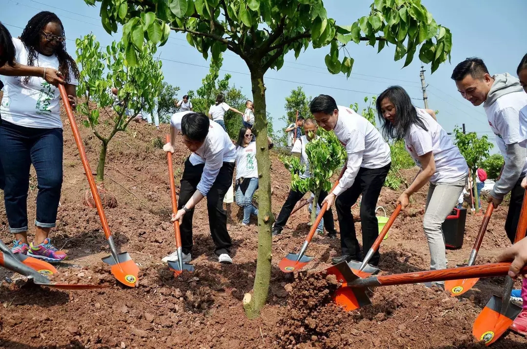 植樹(shù)節(jié)