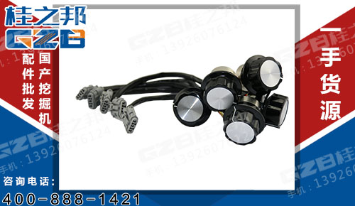 哪里有賣力士德現貨充足-桂之邦